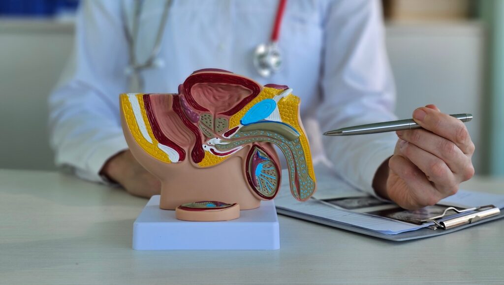 Camcevi 42 mg is a ready-to-use, six-month subcutaneous depot formulation of leuprolide mesylate for advanced prostate cancer treatment. Credit: NMK-Studio/Shutterstock.com.